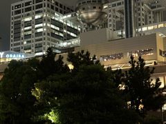 -台场海滨公园船码头