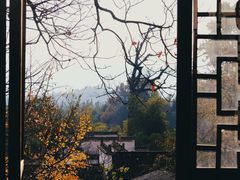 -塔川景区