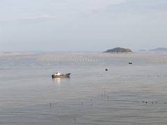 -北岐滩涂