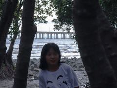 -宝安西湾红树林湿地公园