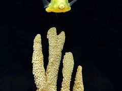 -上海海洋水族馆