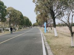 -漕湖湿地公园