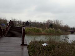-南湖湿地公园