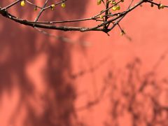 -国家植物园