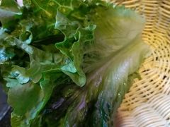 -老卜奎齐齐哈尔烤肉(人民东路店)