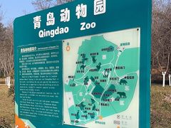 -青岛动物园