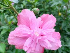 -前小桔亲子创意农场·草莓采摘·露营烧烤