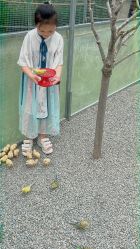 -萌宠亲子动物乐园(槐房万达店)