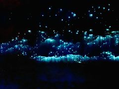 -怀托摩萤火虫洞