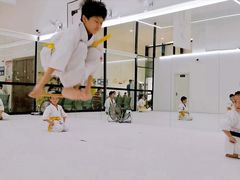 -极真空手道修远道场