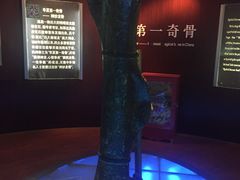 -诸城市恐龙博物馆