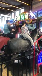 -嗨翻Hi-Fun竞技主题乐园·蹦床团建生日聚会(五棵松华熙店)