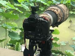 -四川大学(华西校区)