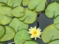 -昆山城市生态森林公园