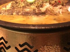 -探鱼·鲜青椒爽麻烤鱼(广州花都来又来店)