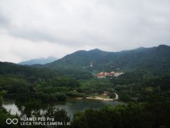 -深圳仙湖植物园
