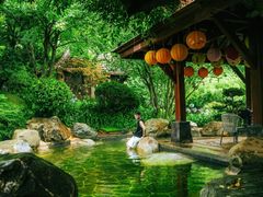 -七彩云南古滇温泉山庄