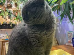 -Rabbit Cafe私房西餐甜点咖啡(栖霞路店)