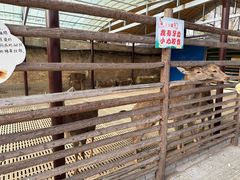 -保定市动物园