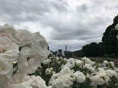 -维格兰雕塑公园