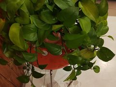 -额尔敦传统涮(光明路店)