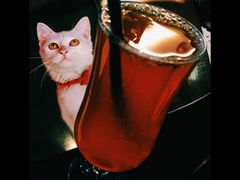 picture-看书吧(体育东横路店)