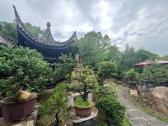 -万景茶庄·台州菜