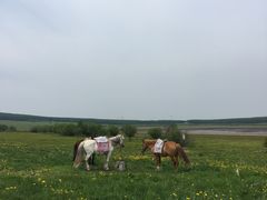 -塞罕坝国家级自然保护区