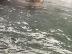 -青城道汤池