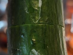 -海底捞火锅 (利舞台广场店)