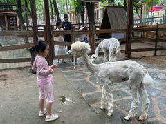 -南戴河国际娱乐中心