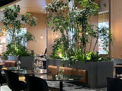-gaga(深圳福田星河COCO Park店)