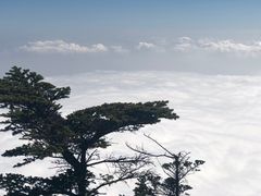 -峨眉山风景名胜区