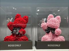 -ROSEONLY诺誓(广州K11店)