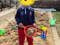 -樂桃源奉贤黄桃种植采摘基地