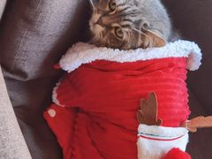 -天使咖啡(兴新街店)