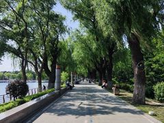 -长春市南湖公园