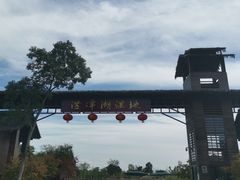 -泗洪洪泽湖湿地景区