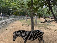 -石家庄市动物园