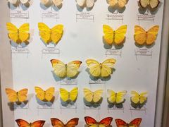 -吉林省自然博物馆