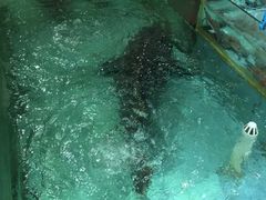 海鲜-渔民新村(番禺总店)