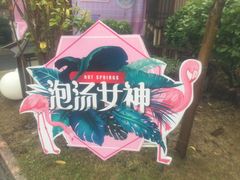 -宁波杭州湾海底温泉