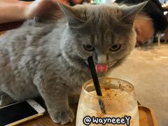 -咖法森林·咖啡  酒吧(天河店)