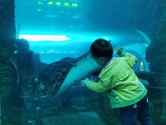 -乐从天佑城海洋馆