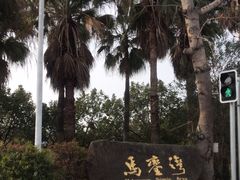 -马銮湾景区