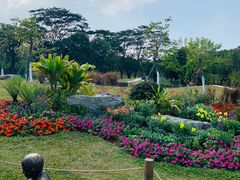 -东莞植物园