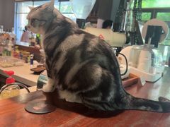 -咖法森林·咖啡  酒吧(天河店)