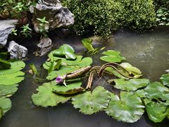 -绣园·茶食宴(湘绣博物馆店)