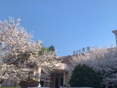 -平湖九龙山庄园圣马可酒店