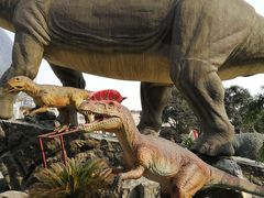 -陕西自然博物馆